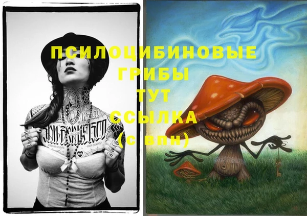 дмт Горно-Алтайск