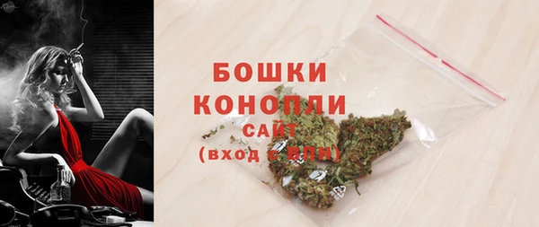 индика Бежецк