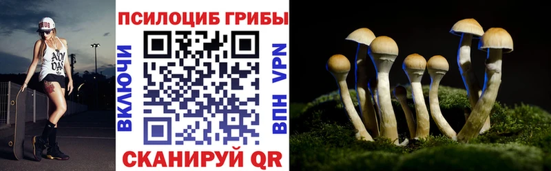 Галлюциногенные грибы Psilocybe  Галич 